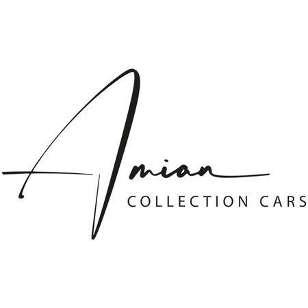 Amian Logo