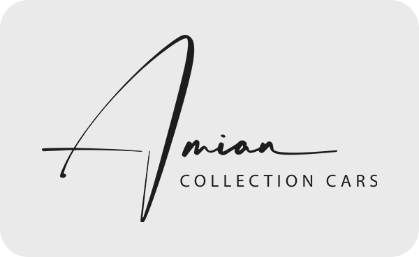 Amian Logo